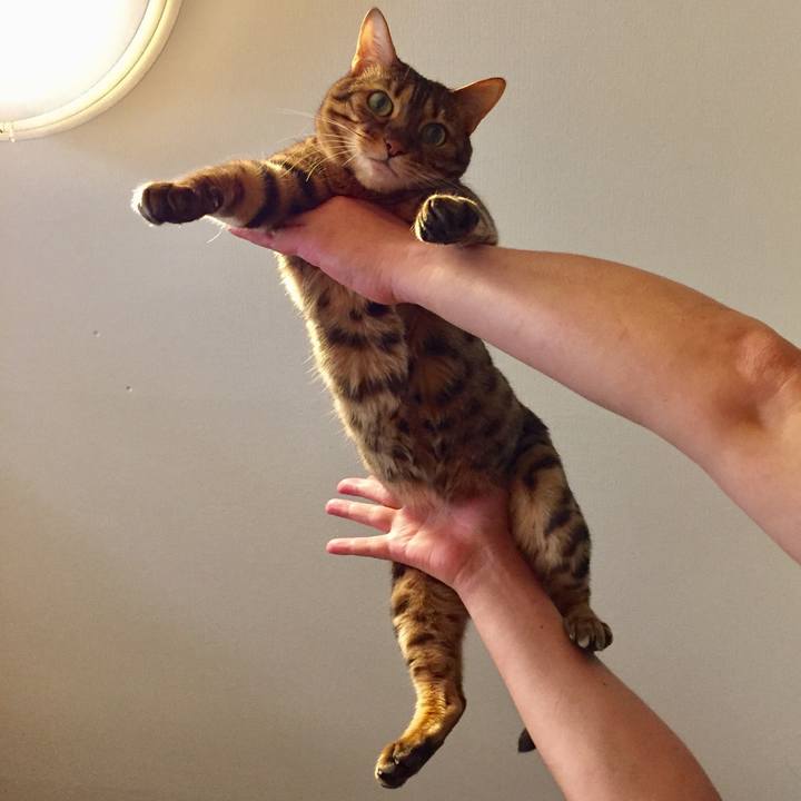 90b31046 39b7 4520 bc10 fa986f30fc37