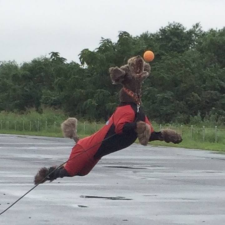 90b36489 62cf 4498 8aad 4dfb8be64587