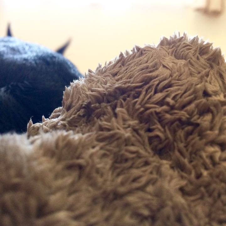 90b37b77 15fd 445c b158 b3665bbc6ff3