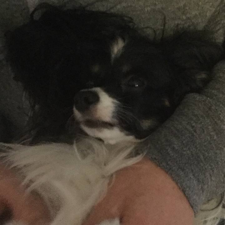 90b3895f 8500 4e54 b753 4e9dd06866b1