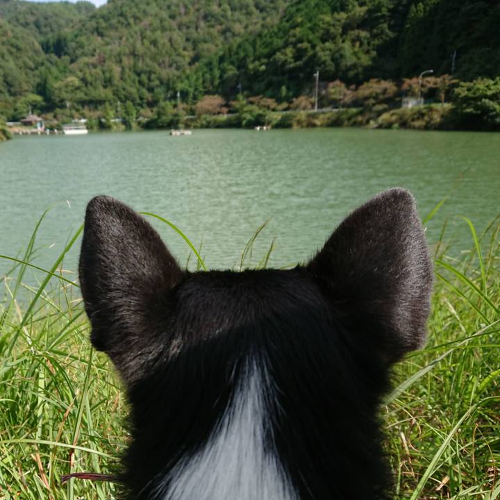 90b4c1ca 59e6 414b bd88 f526c326dcc5