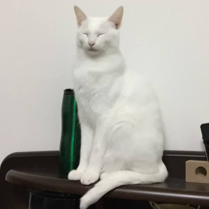 90b4d14f dfb0 49dc a9a8 4d0212585086