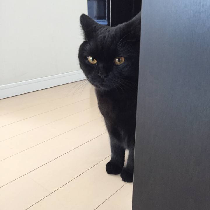 90b4fbaf fa9b 4cc6 b3b2 0faf20e184fe