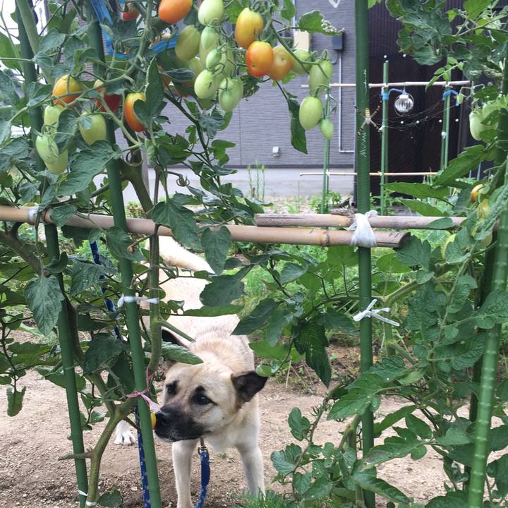 90b50471 1a17 4eaf bf26 38ab129a8bf3