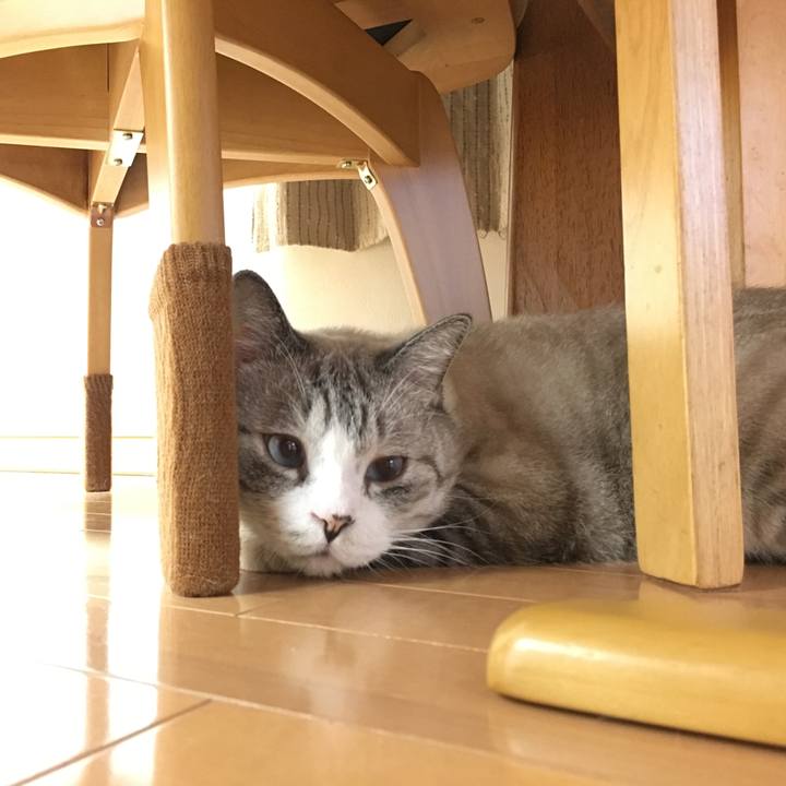 90b5b958 077e 4e75 84d0 2e4ff5278aa3