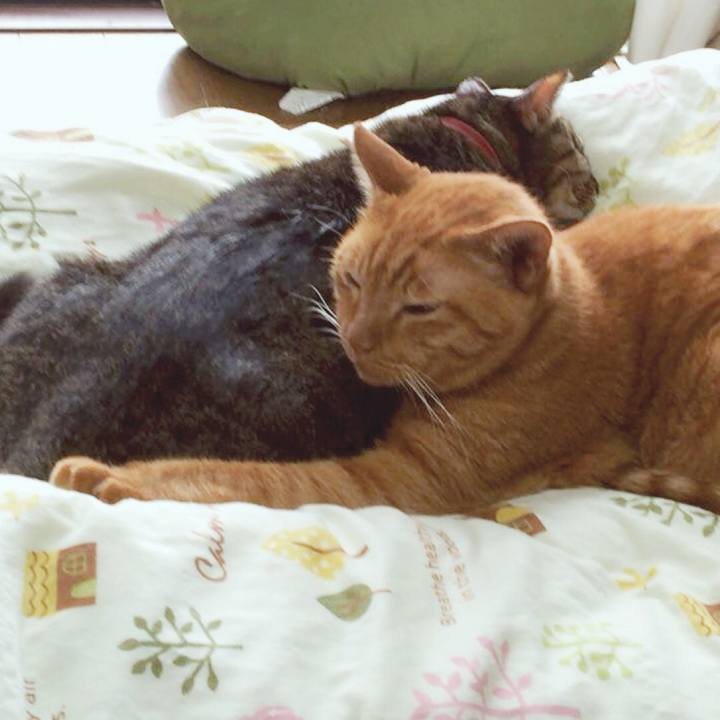 90b60eef 4dea 472f b50d dd921cce1204