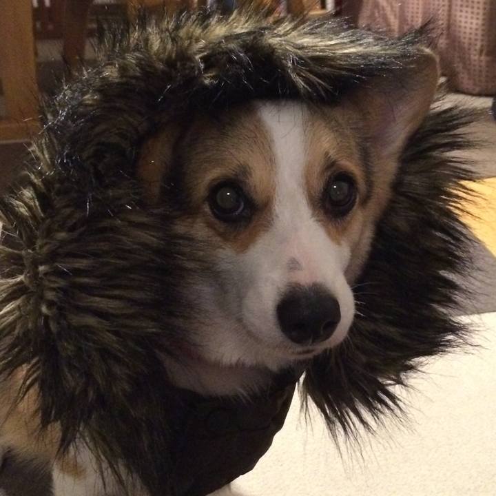 90b64576 ec92 4309 8a06 8d25a1a6cd86