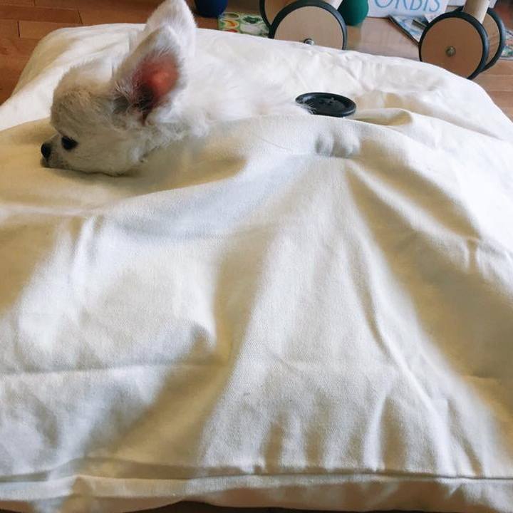 90b6b759 4eef 4a56 ad47 43959795b1aa