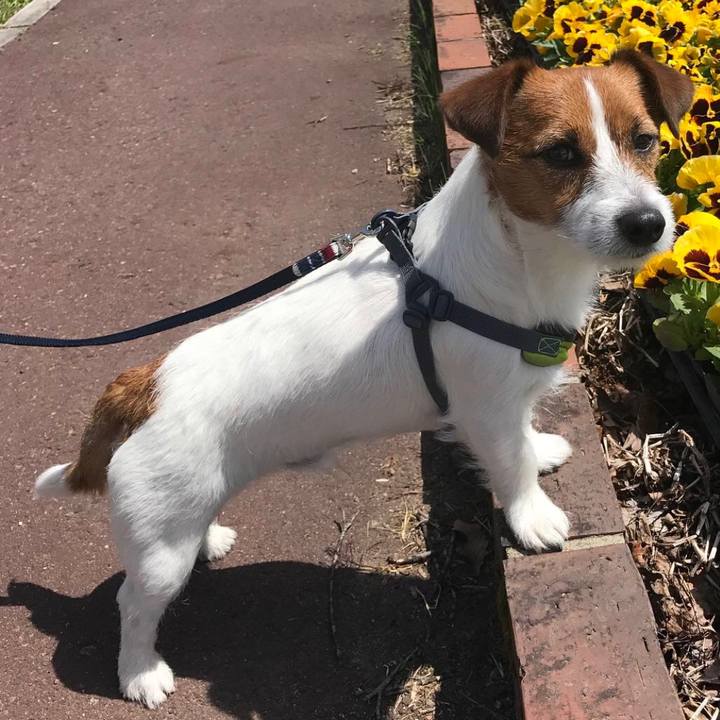 90b6f944 d43e 417c adb7 addeeb80c1d9