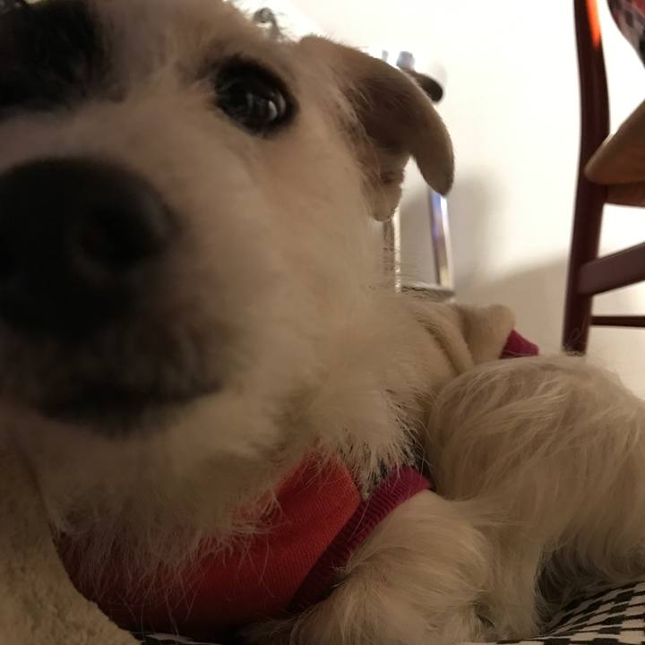 90b71189 2e53 4958 9da9 7240c0e2dee2