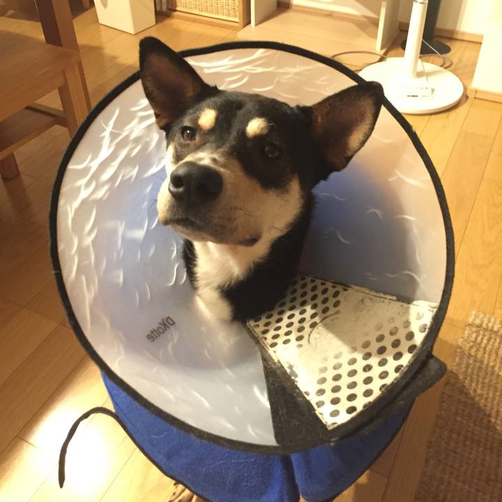 90b7cd2d d95d 4b46 83df 208822c10c79