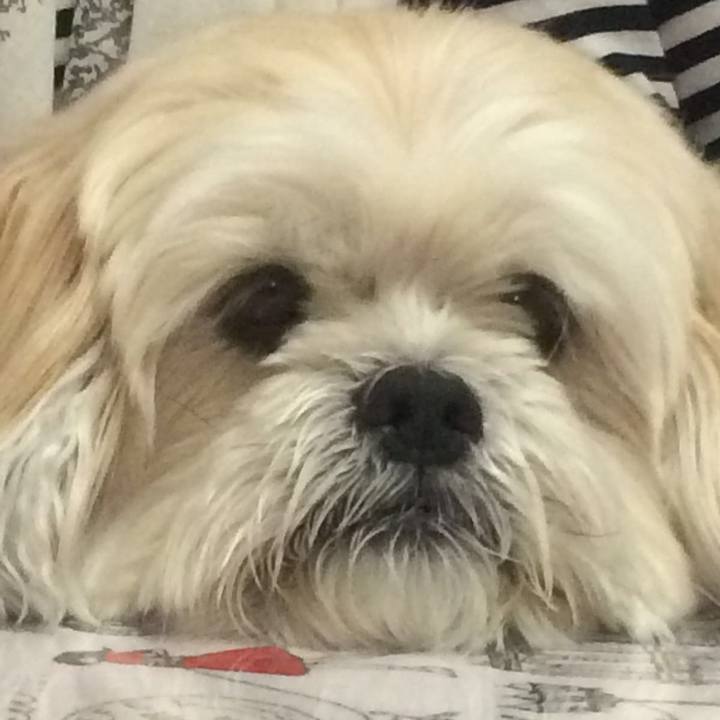 90b7dd60 d908 459c 8cfd b10242d04493