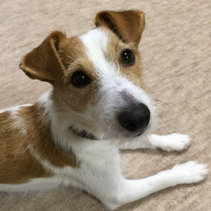 90b83606 edab 4fd9 9273 ff0e297b4b20