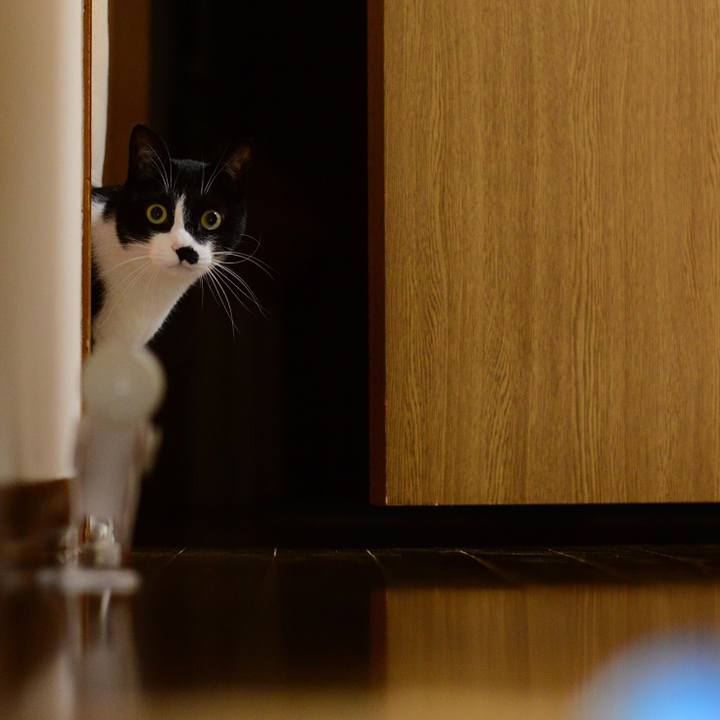 90b83a45 1b35 4863 81e5 7b86240f0b9b