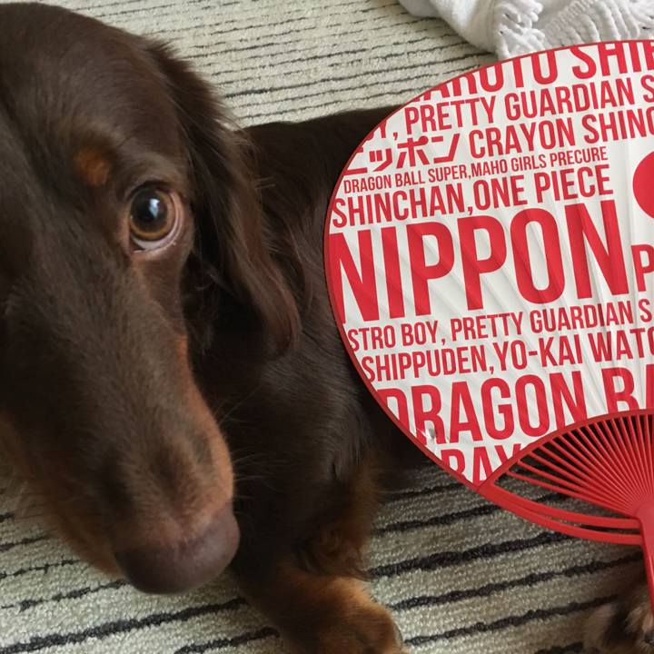 90b8506b 75d9 4524 b609 f507af3cdce2