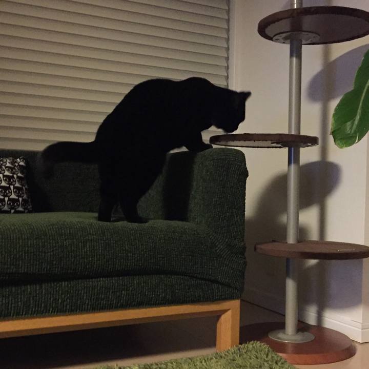 90b8b305 0bec 4549 8daf 184b3c7d0f02