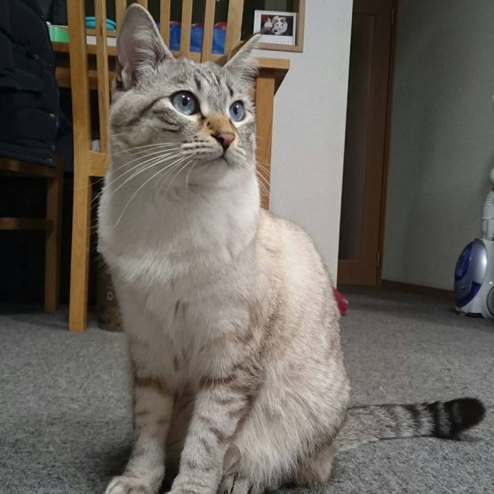 90b8e307 e7c2 4220 a08d 6bcff3c20742