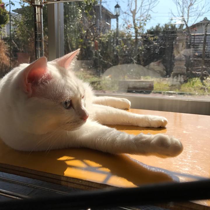 90b8eb97 6aa0 4780 a5fa b5fe018b6faf