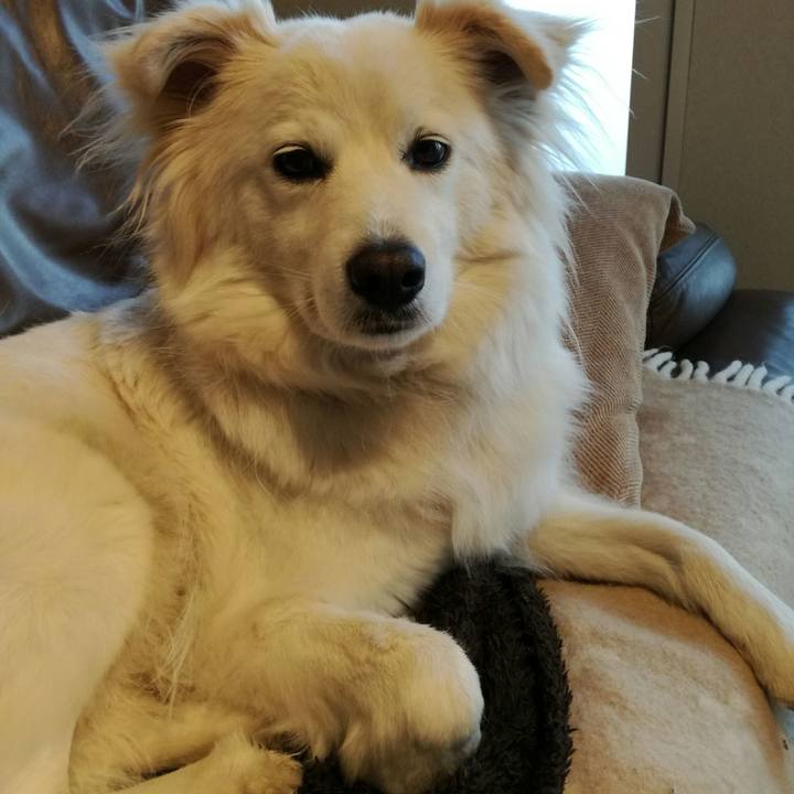 90b929e1 f329 4610 9a29 db9b03141fd2