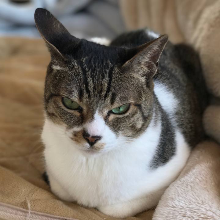 90b98609 61fa 490d b89d 8c7adc48b593