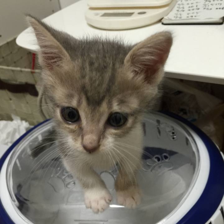 90b9a1b4 c1a9 4d87 a004 5af919482d0f