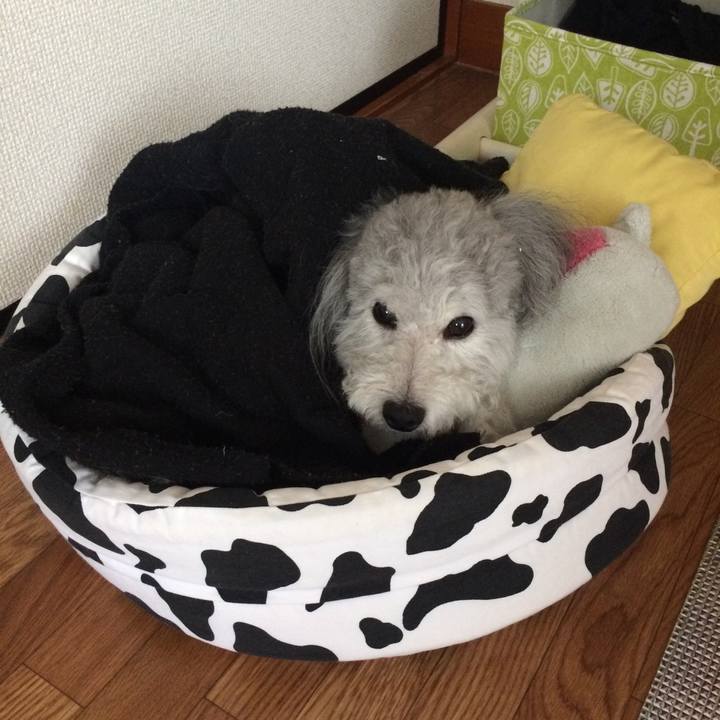 90b9ad8b 062f 437b 98ca d9d1e81fced3