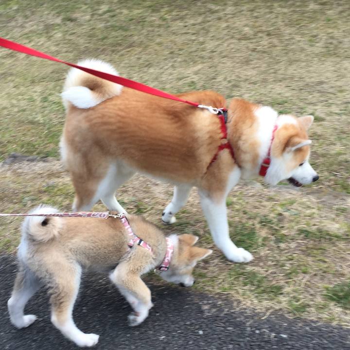 90ba2098 1ac5 4061 92c2 bdd155954210