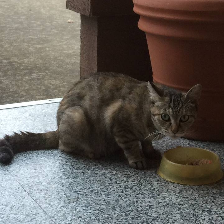 90ba27eb 0f90 47b0 b1e2 8609d901fbde