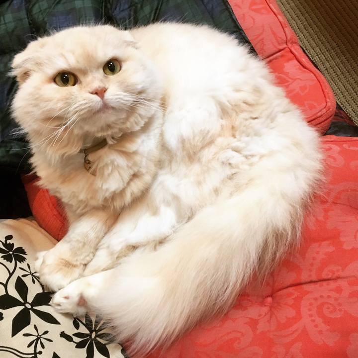 90ba6a0c 3ccb 497b 94b2 eb691cb8f9a5