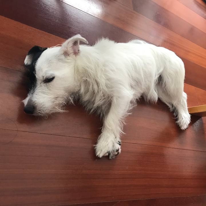 90bac7c8 aca0 4895 88c6 1f7c7320246c