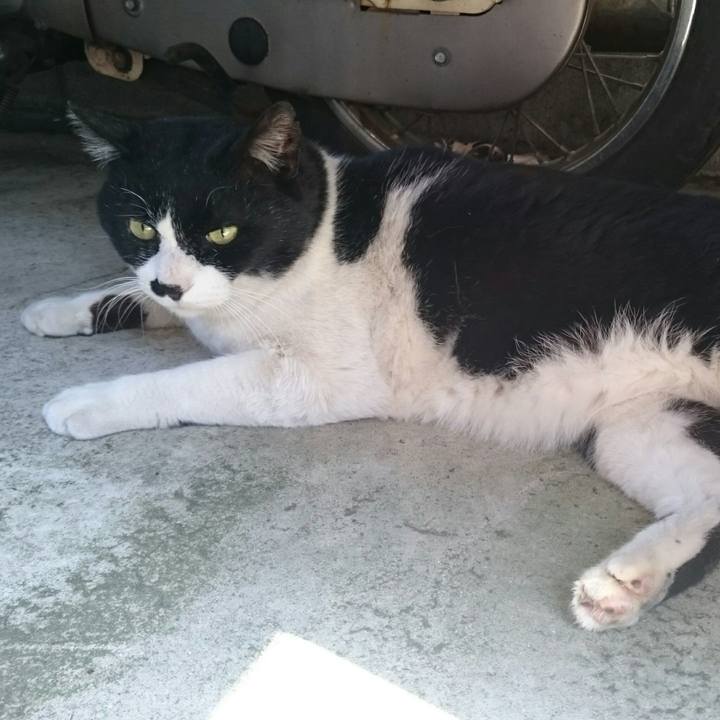 90bb65a8 001b 410e 9d2b f0213de282d2