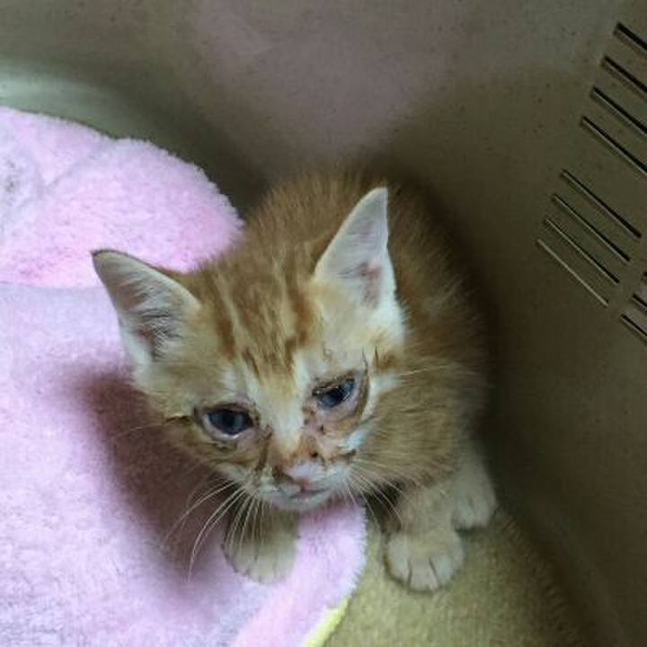 90bb989b f716 41e0 a6b5 a274331c4a8a