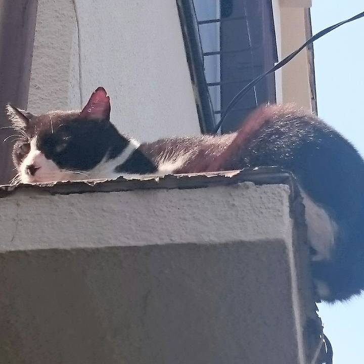 90bbba11 b462 4c37 b5c0 deeae0263b8b