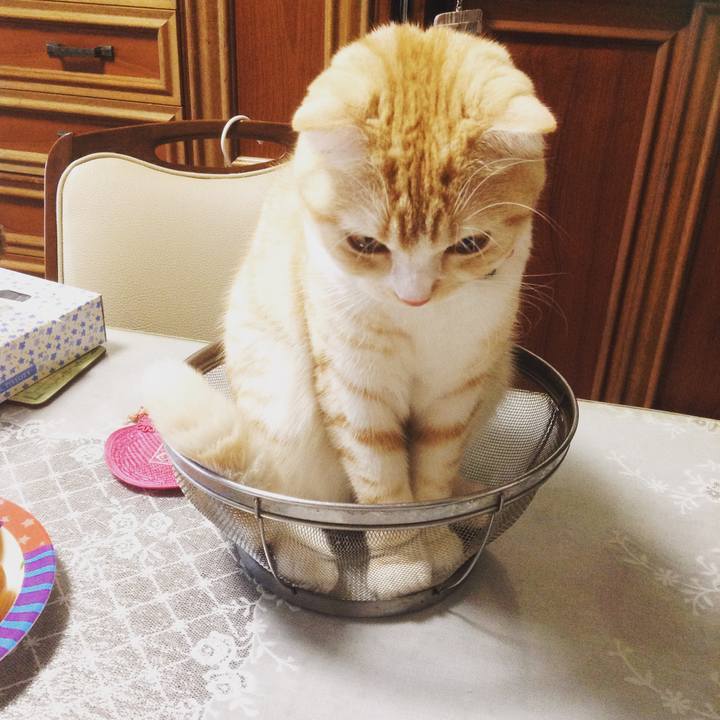 90bbed05 cf35 4084 94a7 3158817c4a2f