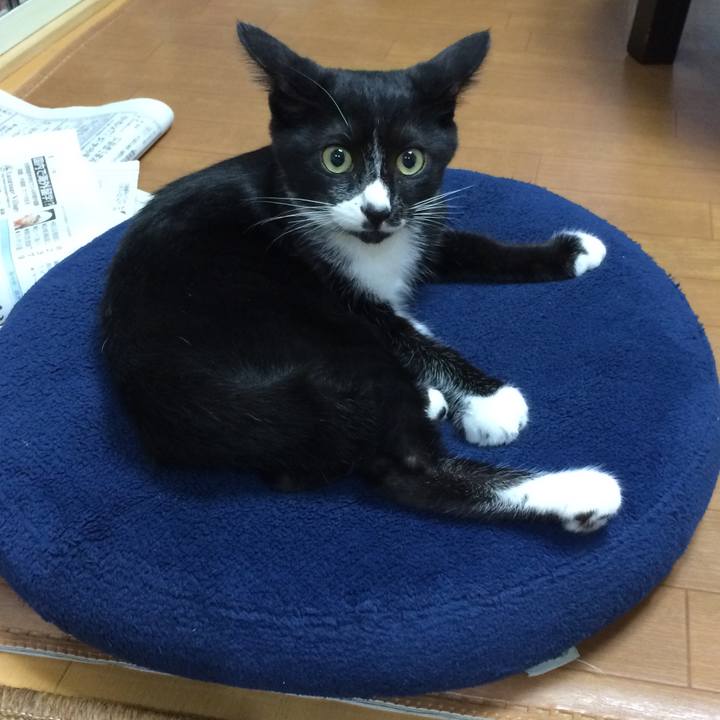 90bc22dd 2cfc 43ae 9b63 6a365d497eaf