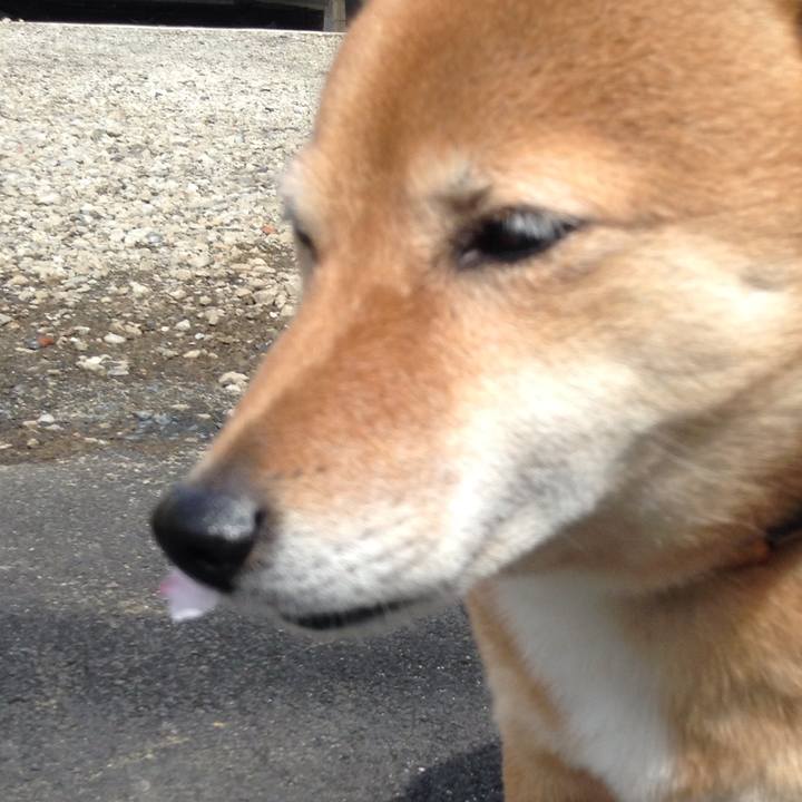 90bc5e48 cd8d 4b98 a453 8708f6232361