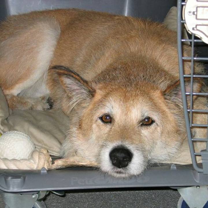 90bc6512 a8ad 4a09 989c 4ca1004ff1ed