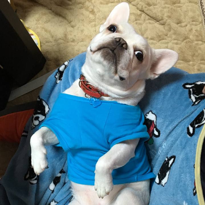 90bc708f 6242 443a af2b 6c5aab1d4140