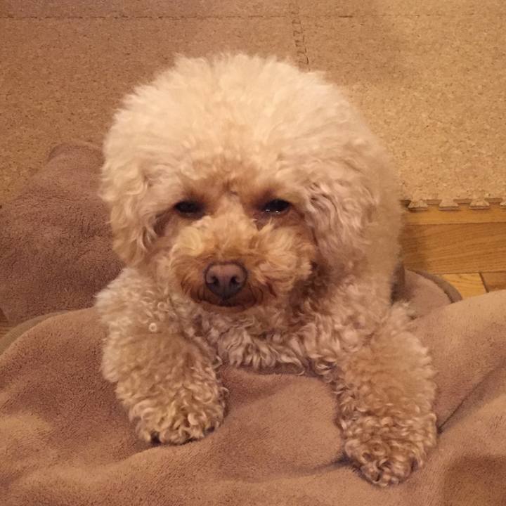 90bc871a 0719 44b1 a606 fef07d15f260