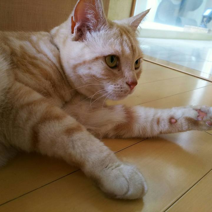 90bd82c7 2189 402a a424 61a4f6d06327