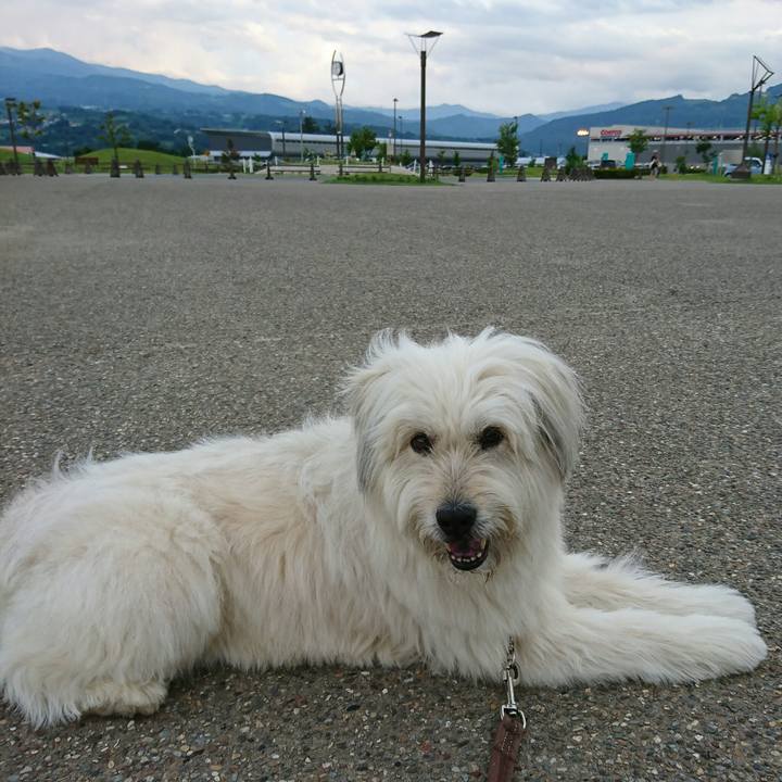 90be25db fe69 4b16 ae5e 67b5e4bf2203