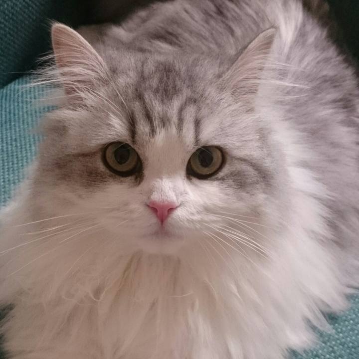 90bea49a e12c 44dc be2e 78d46f790461