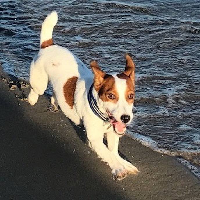 90bf7446 e7e3 4d92 8206 ba9eb3b808e0