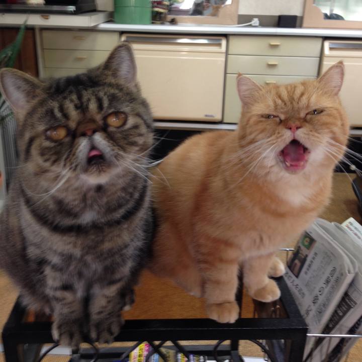 90bf7886 a6a7 4b80 b997 0bc39bd3dff8