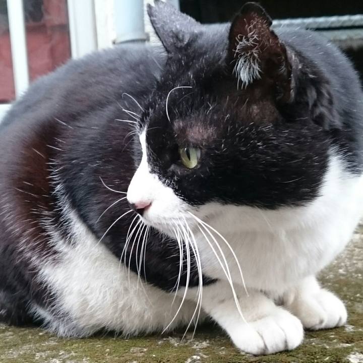 90bf9810 6a5b 45bd 9502 21ad9545e715