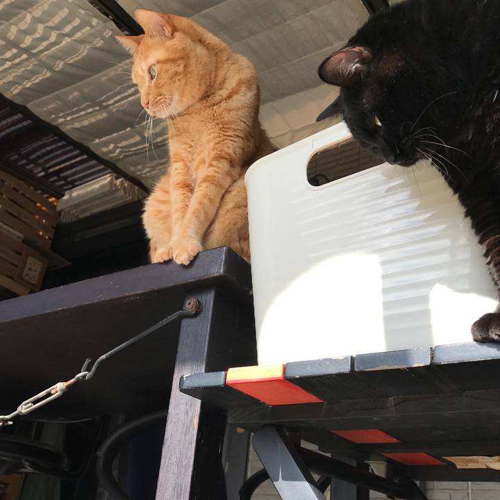 90bfae35 1b37 4d2a bc24 8e9acecd8534