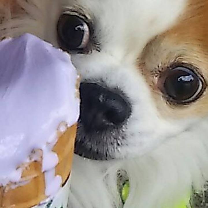 90bfcc2f dbbe 49de 9835 41524b8f8ca1