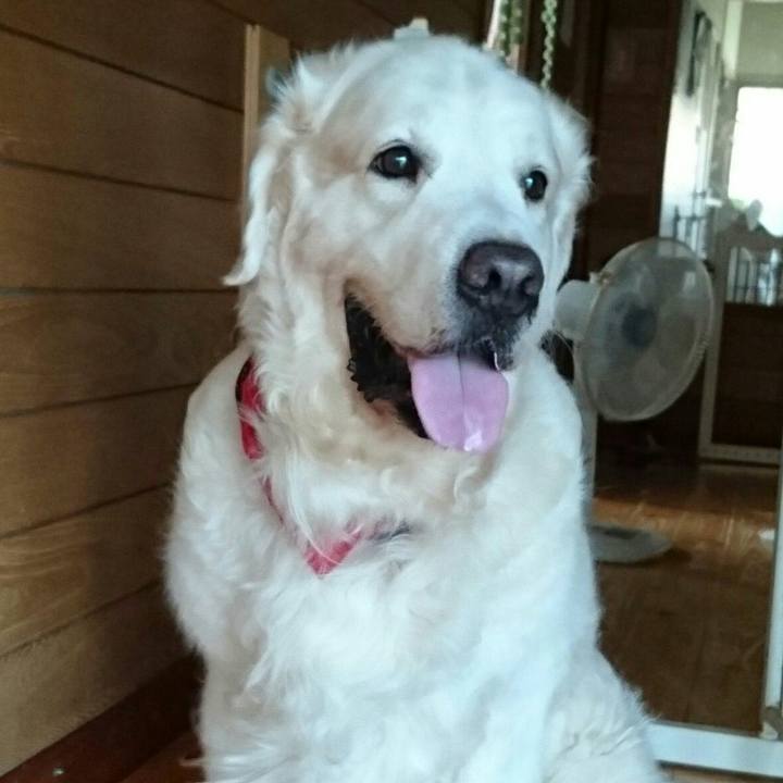 90c002c5 d028 40cc 87cb d427e7634849