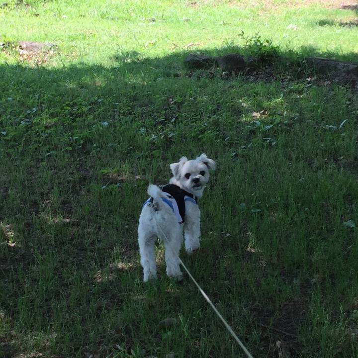 90c055d8 a744 4db1 be44 eac97af352b7