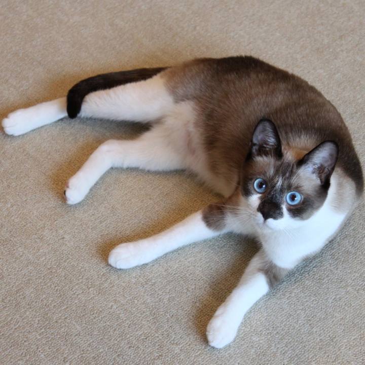 90c08dbe 3ef7 46b9 b2ce 82fbaee84088